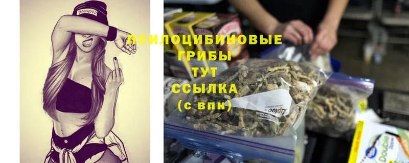 Псилоцибиновые грибы Psilocybine cubensis  omg ссылки  Кировград 